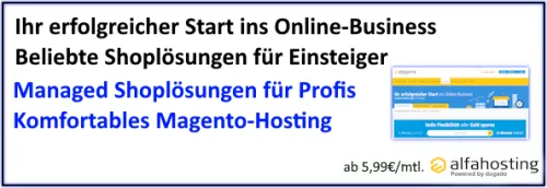 Ihr erfolgreicher Start ins Online-Business